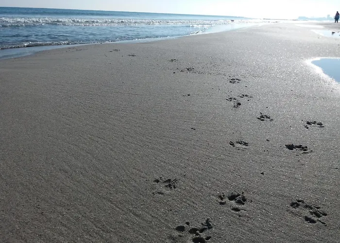 Apartmán Loft Dos Mares- Parking Gratis - 1ª Línea Mediterráneo - Vistas - Terraza